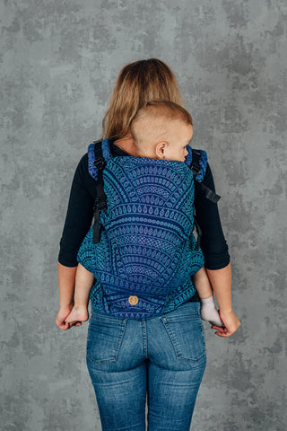 Lenny Preschool Carrier, Peacock's Tail - Provance *Discontinued*