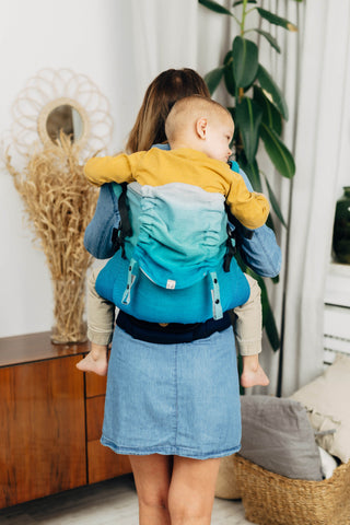 Preschool size soft structured baby backpack carrier in print Airglow